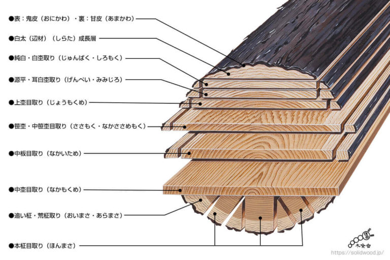 杢目(もくめ)の種類 | 無垢材とは | 一枚板比較