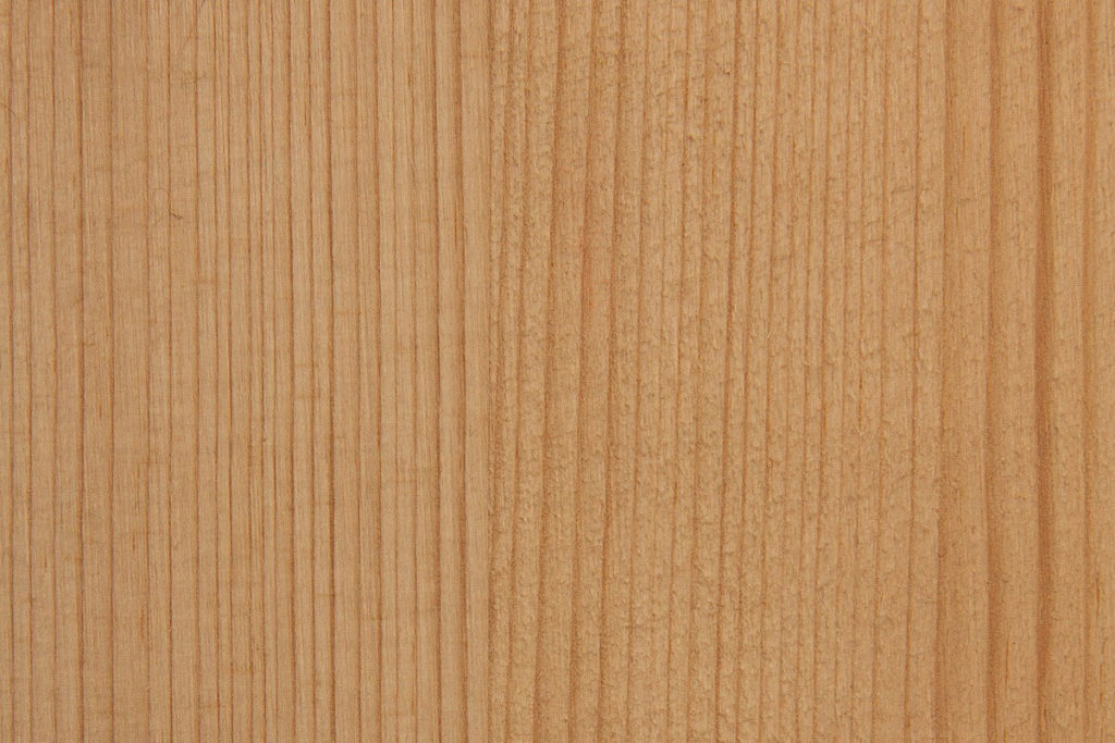 柾目について | 木のいろはにほへと（わかりやすい木のお話し） | 一枚板比較