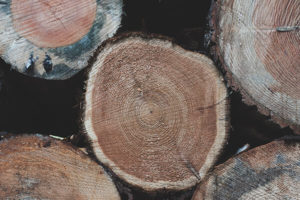 原木の製材について