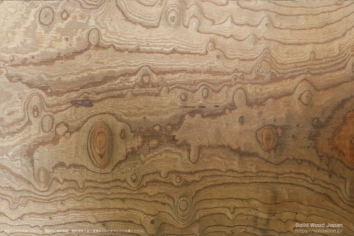 ケヤキタマモク（欅玉杢）の一枚板