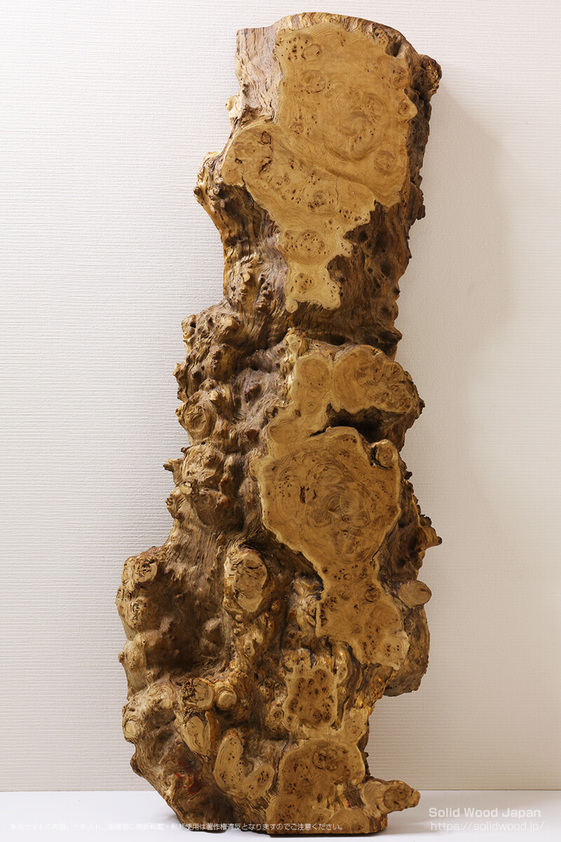 栗（クリ）瘤杢山梨県身延山産の一枚板