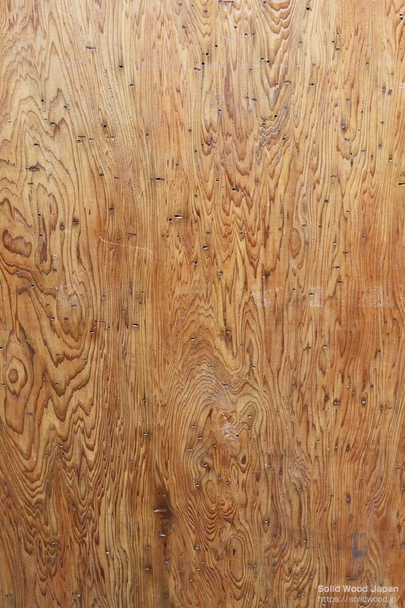 屋久杉・土埋木（どまいぼく）の板全体に虫喰いがある珍しい材